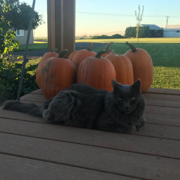 Meet your Posher, Kathy - Picture 2 of 2